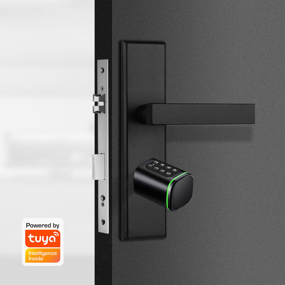 Smart Cylinder Lock Tuya 60-90 - Smart Home Website recension och pris